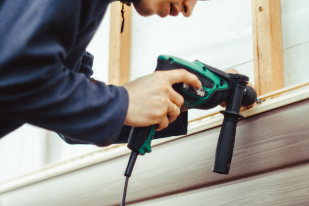 Best Insulated Siding Installation  in Olive Hill, KY